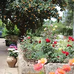 Tenuta Santa Rosa