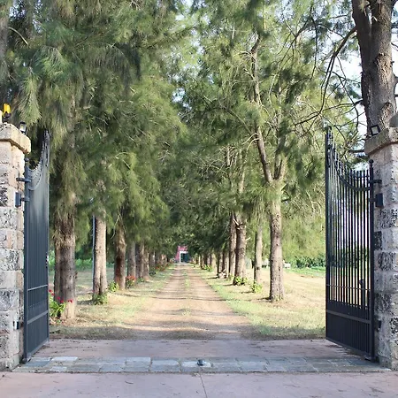 Tenuta Santa Rosa Bed & Breakfast Sannicola