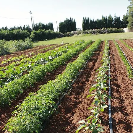 Tenuta Santa Rosa לינה וארוחת בוקר