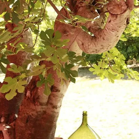 Tenuta Santa Rosa فندق مبيت وإفطار