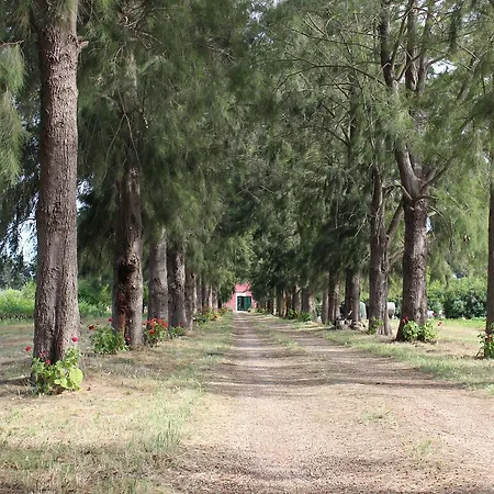 فندق مبيت وإفطار Tenuta Santa Rosa سانيكولا
