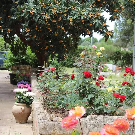Tenuta Santa Rosa